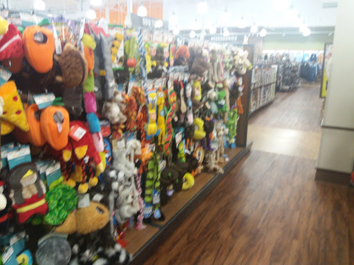 Outdoor Sports Store «Sierra Trading Post», reviews and photos, 95 Danada Square East, Wheaton, IL 60189, USA