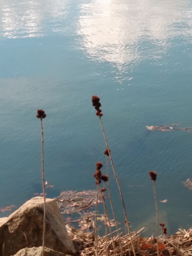 Park «Bare Cove Park», reviews and photos, Bare Cove Park Dr & Fort Hill St, Hingham, MA 02043, USA