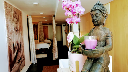 Clínica Veterinaria Poveda en Roquetas de Mar