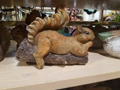 Discount Store «Gordmans», reviews and photos, 2057 N Rock Rd #101, Wichita, KS 67206, USA