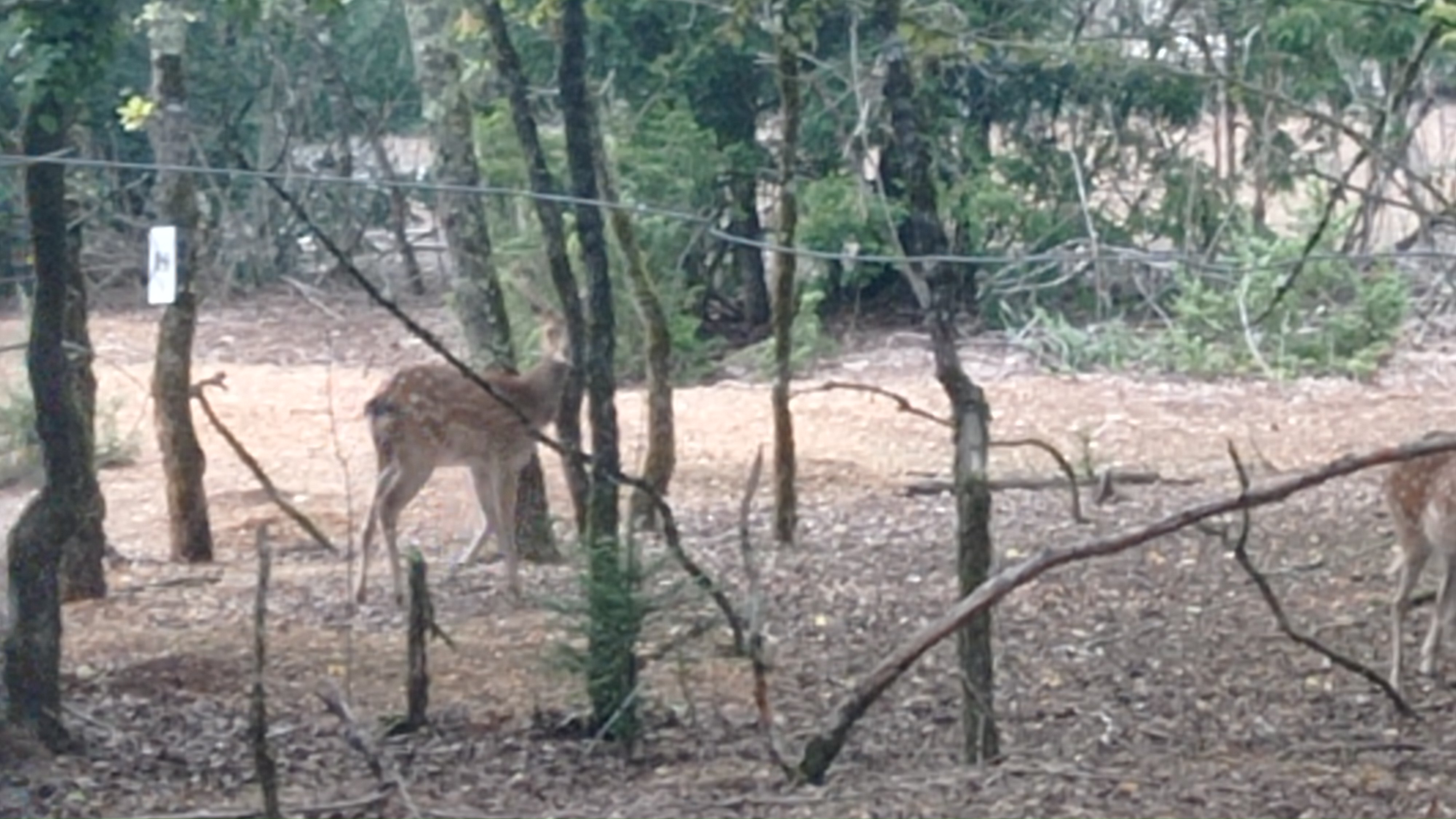 Photo n° 3 de l'avis de alain.o fait le 23/08/2022 à 08:56