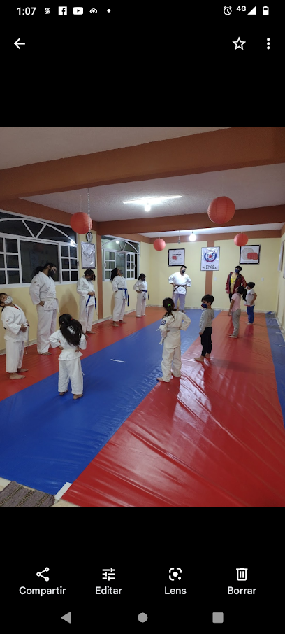 Dojo Tlalpikai Valle Escuela de Karate