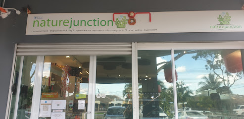 Nature Junction