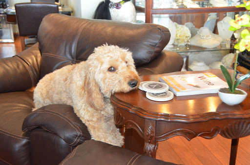 Jeweler «K Hollis Jewelers», reviews and photos, 147 S Randall Rd, Batavia, IL 60510, USA