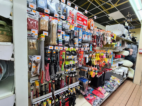 La Braderie Normande à Senonches