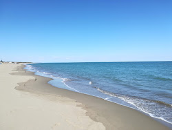 Photo de Lido Torre Beach - endroit populaire parmi les connaisseurs de la détente