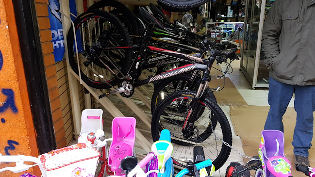 Rulo bikes and rolles spa