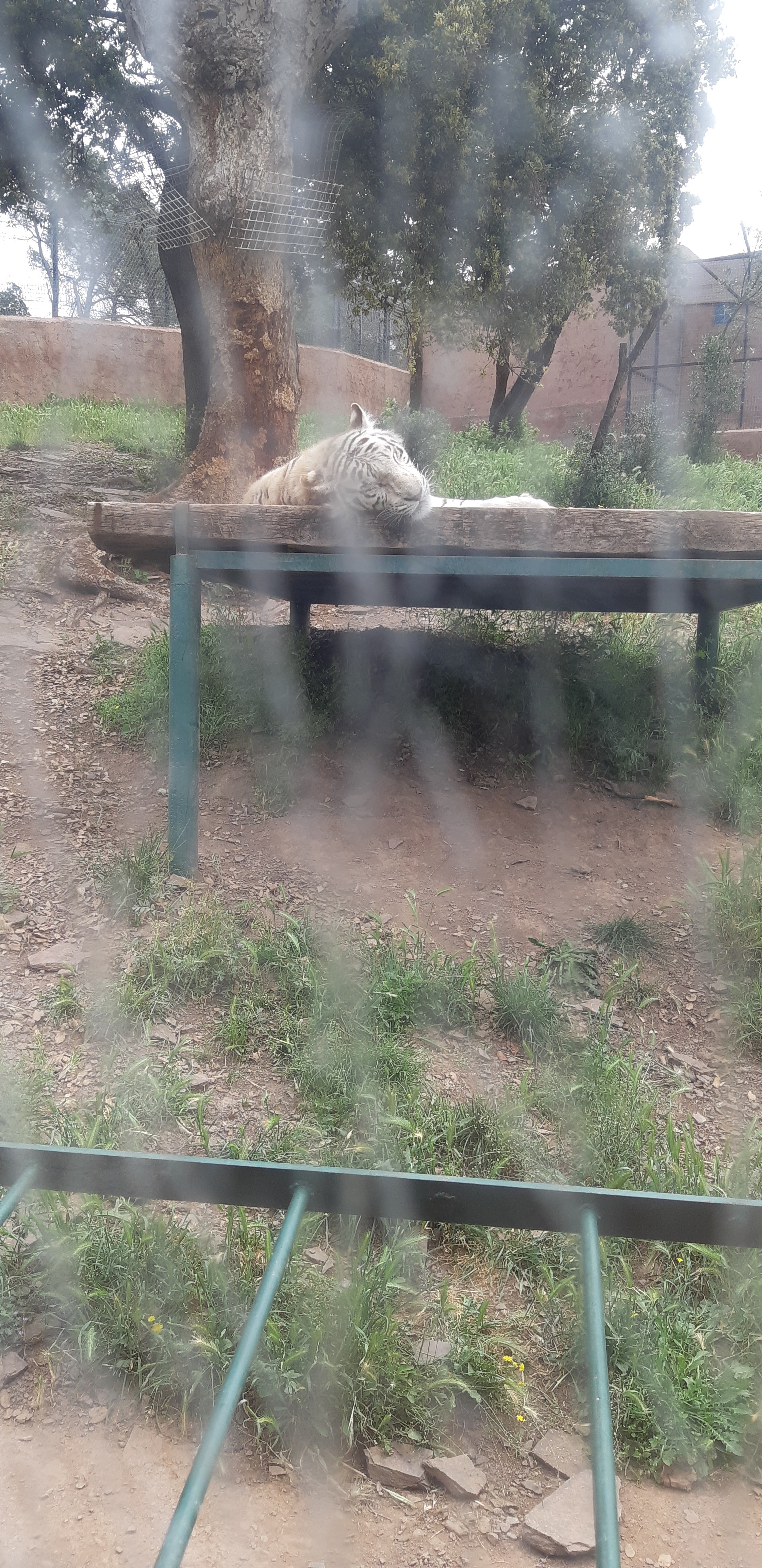 Photo n° 4 de l'avis de Laëtitia.a fait le 07/05/2018 à 17:38