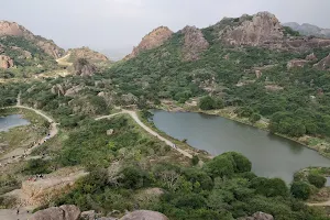 Bamboo pond/వెదుళ్ళ చెరువు image