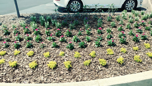 Supermarket «Publix Super Market at Midway Shopping Center», reviews and photos, 4900 Atlanta Hwy, Alpharetta, GA 30004, USA