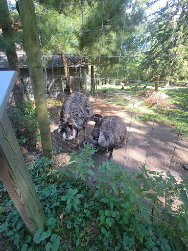 Zoo «Trevor Zoo at Millbrook School», reviews and photos, 282 Millbrook School Rd, Millbrook, NY 12545, USA