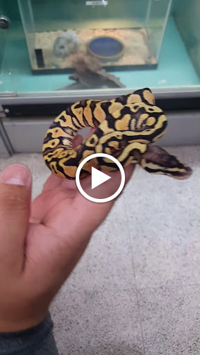 Pet Supply Store «Incredible Pets», reviews and photos, 4005 Manzanita Ave # 41, Carmichael, CA 95608, USA