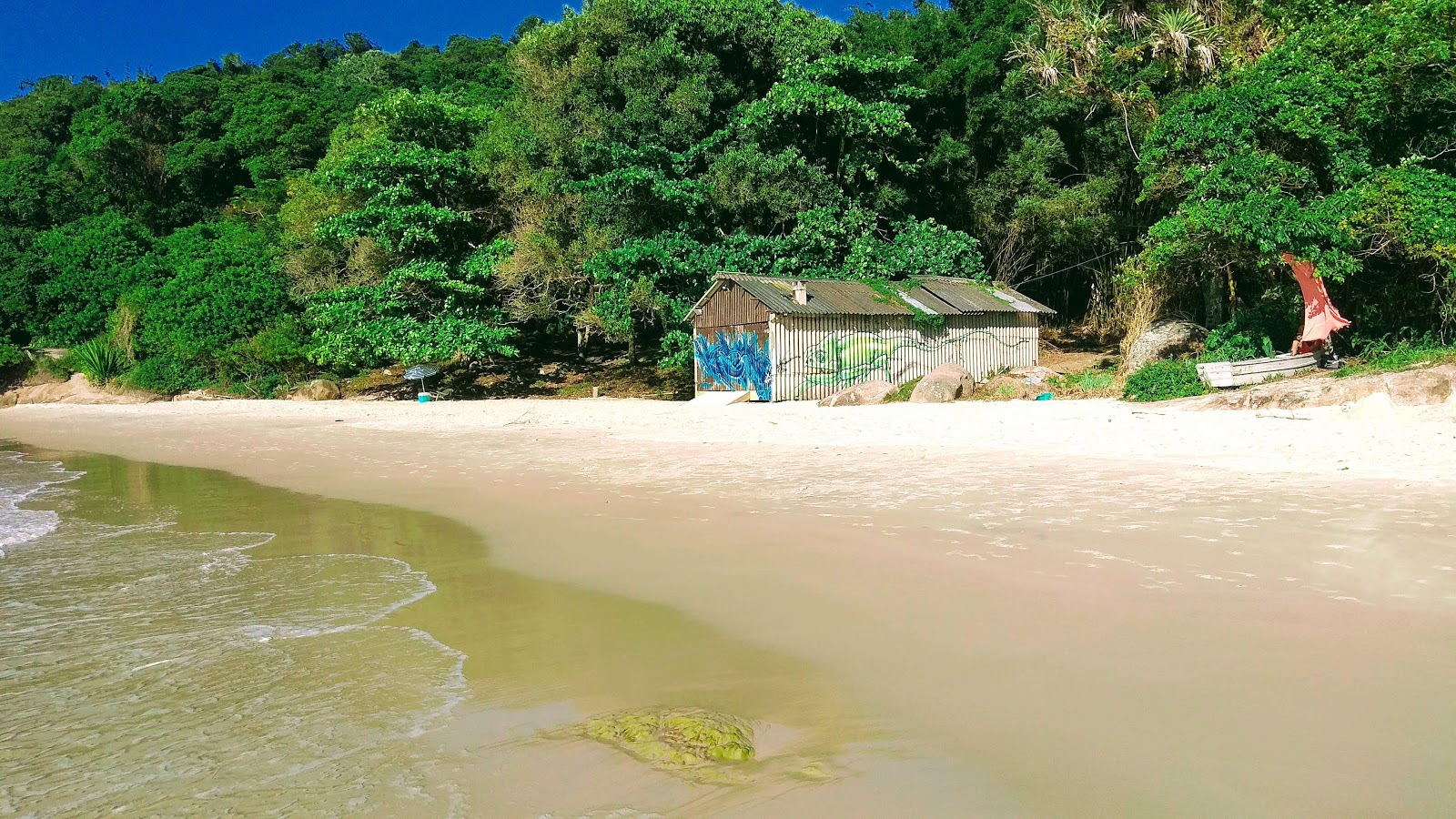 Fotografija Praia da Daniela-Forte z ravna obala