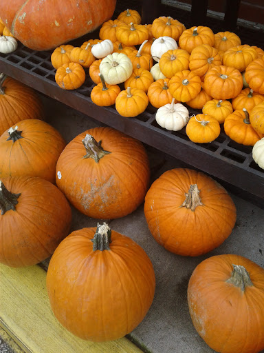 Grocery Store «Giant Food Stores», reviews and photos, 2670 Egypt Rd, Norristown, PA 19403, USA