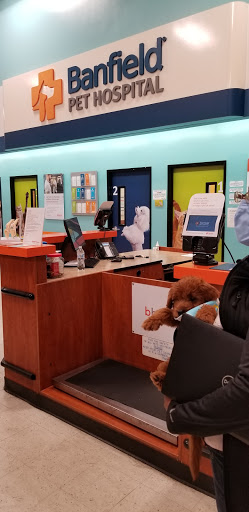 Pet Supply Store «PetSmart», reviews and photos, 7663 Arundel Mills Blvd, Hanover, MD 21076, USA