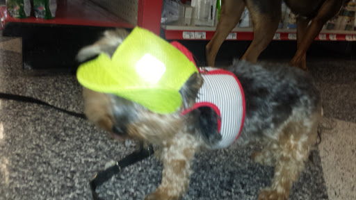 Pet Supply Store «Petco Animal Supplies», reviews and photos, 26501 Bouquet Canyon Rd, Saugus, CA 91350, USA