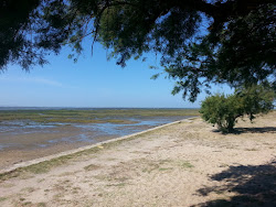 Photo de Cassy Beach et le règlement