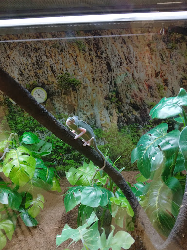 Pet Supply Store «Petco Animal Supplies», reviews and photos, 187 Stonebrook Pl, Jackson, TN 38305, USA