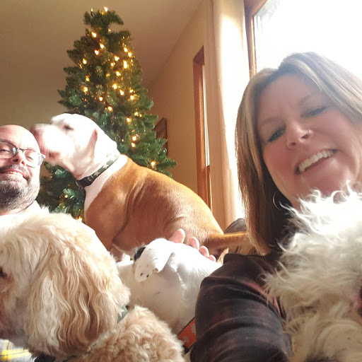 Pet Supply Store «City Dogs Grocery», reviews and photos, 884 Massachusetts Ave, Indianapolis, IN 46204, USA