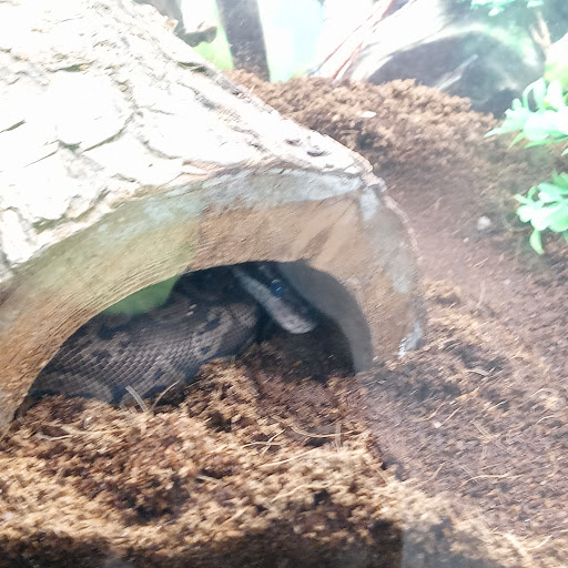 Pet Store «Pet Cove», reviews and photos, 820 E Center St, Kingsport, TN 37660, USA