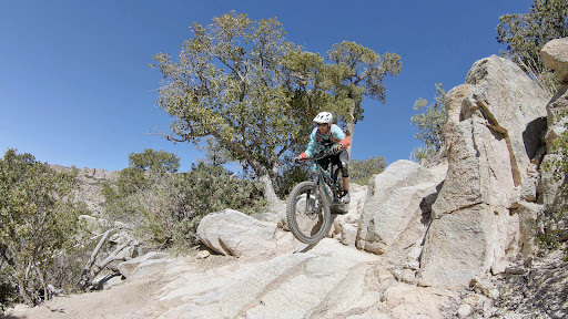 Homegrown Mountain Biking Tours