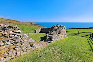 St Non's Chapel and Well image