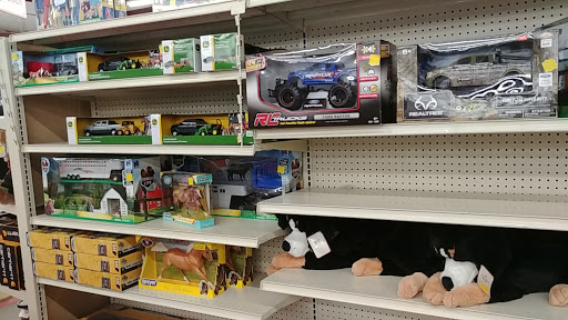 Home Improvement Store «Tractor Supply Co.», reviews and photos, 1111 Halstead Blvd, Elizabeth City, NC 27909, USA