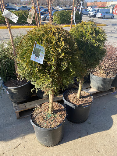 Home Improvement Store «The Home Depot», reviews and photos, 14025 Foulger Square, Woodbridge, VA 22192, USA