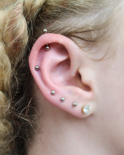 Body Piercing Shop «Skin Gallery Tattooing & Body Piercing», reviews and photos, 1402 Ogden Ave, Downers Grove, IL 60515, USA