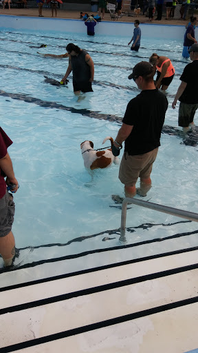 Park «Walters Grove Park», reviews and photos, 4400 Walter Ave, Parma, OH 44134, USA