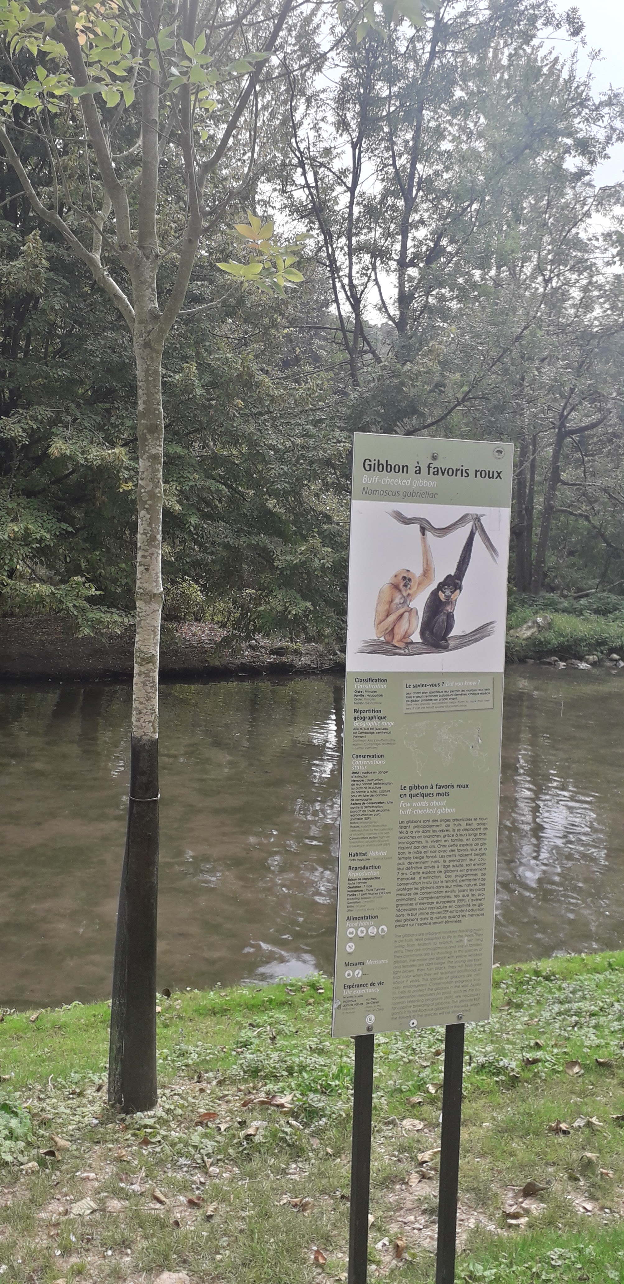 Photo n° 26 de l'avis de lilou.i fait le 19/09/2020 à 16:48