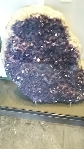 Museum «Beneski Museum of Natural History», reviews and photos, 11 Barrett Hill Rd, Amherst, MA 01002, USA