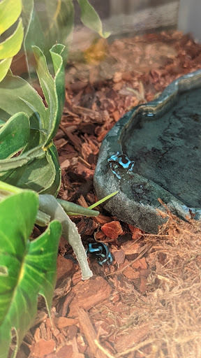 Pet Supply Store «Petco Animal Supplies», reviews and photos, 4013 W Walnut St, Rogers, AR 72756, USA