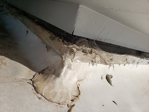 Auto Parts Store «Pep Boys Auto Parts & Service», reviews and photos, 400 S Arizona Ave, Chandler, AZ 85225, USA