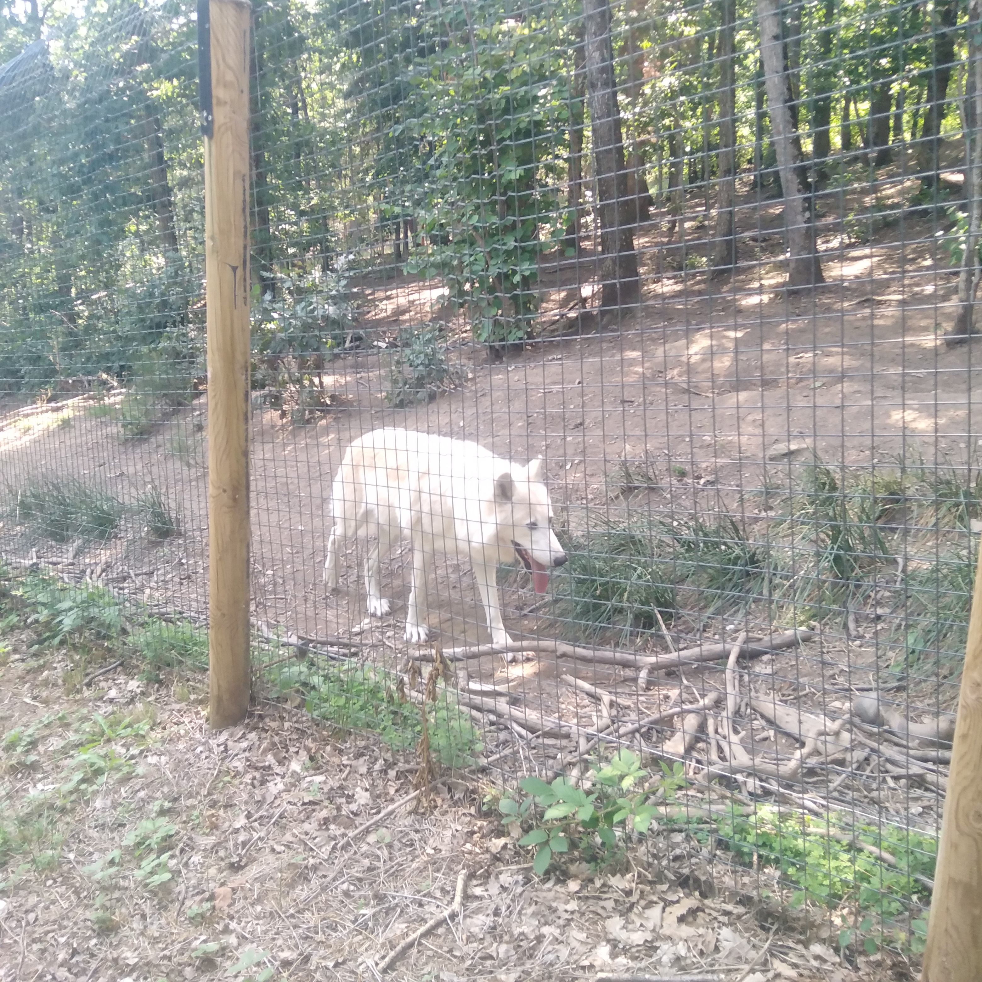 Photo n° 4 de l'avis de Roxane.h fait le 10/08/2021 à 19:41