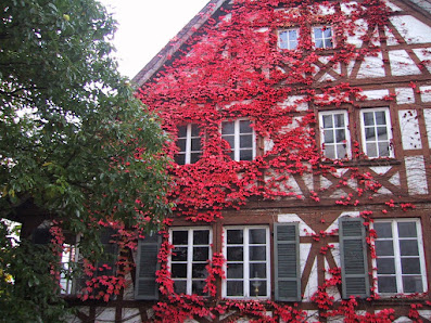 Zehnthaus Steinbach Im Kirchwinkel 10, 76534 Baden-Baden, Deutschland