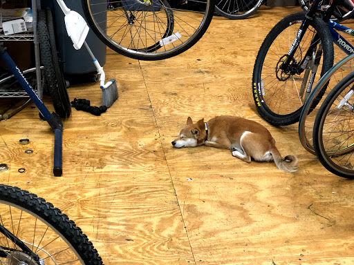 Bicycle Store «Sprockets Bicycle Shop», reviews and photos, 231 W Hickory St, Denton, TX 76201, USA