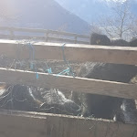 Photo n°5 de l'avis de Steffen.o fait le 04/04/2023 à 14:24 sur le  Greiterhof à Merano