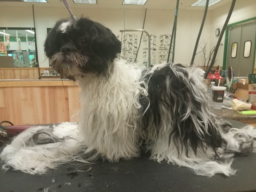 Pet Supply Store «Pet Supplies Plus», reviews and photos, 4751 Hiawatha Ave, Minneapolis, MN 55406, USA