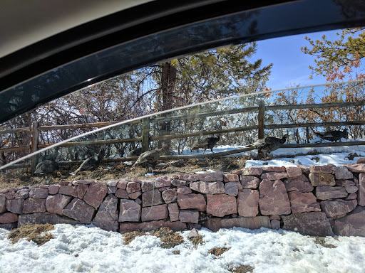 Country Club «Country Club At Castle Pines», reviews and photos, 6400 Country Club Dr, Castle Rock, CO 80108, USA