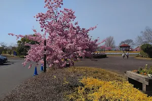 Todagawa Ryokuchi Park image