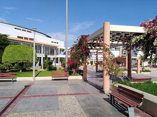 Universidad privada Chimbote