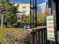 John Muir Health Physical Rhb - Photo 2 - Car repair in Walnut Creek, CA, Concord