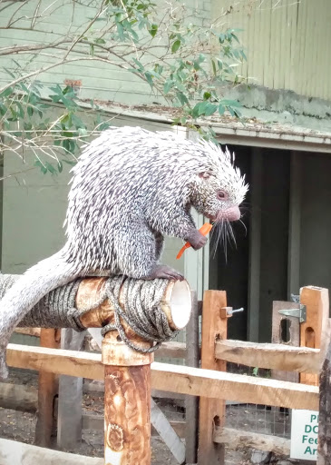 Zoo «Stone Zoo», reviews and photos, 149 Pond St, Stoneham, MA 02180, USA