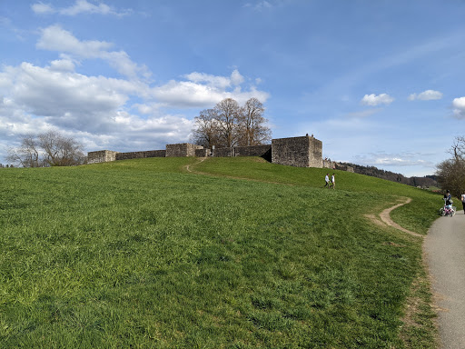 Irgenhausen Castrum