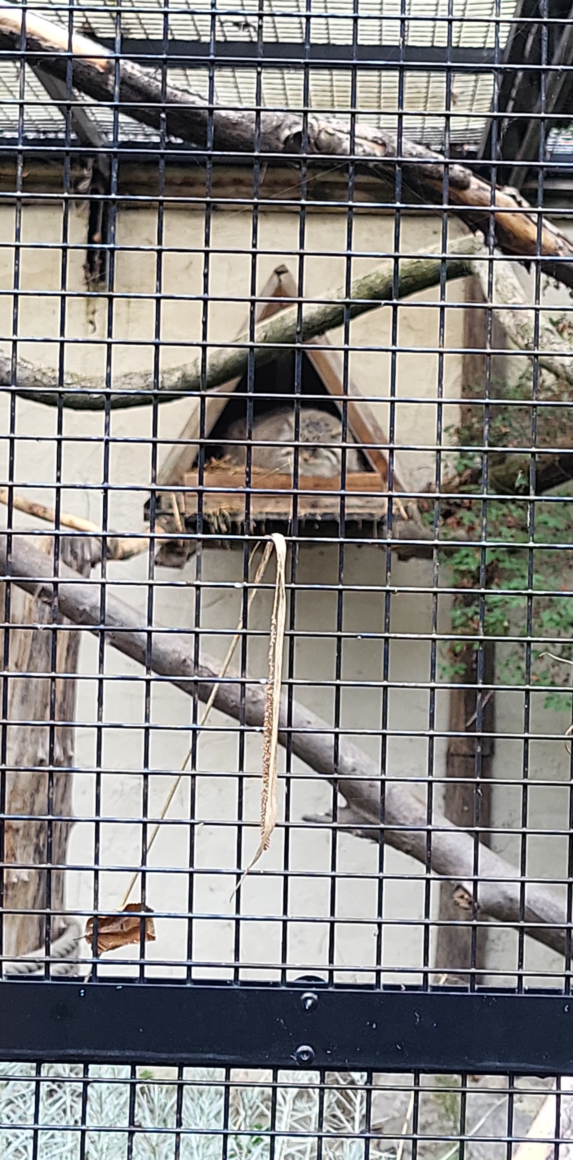 Photo n° 2 de l'avis de Jennifer.a fait le 11/11/2022 à 12:11