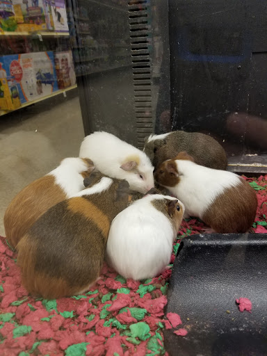 Pet Supply Store «PetSmart», reviews and photos, 6046 Marsha Sharp Fwy, Lubbock, TX 79407, USA