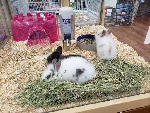 Pet Store «Pet Supermarket», reviews and photos, 9798 Glades Rd, Boca Raton, FL 33434, USA