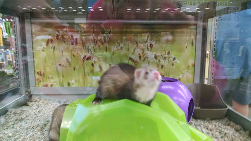 Pet Supply Store «Petco Animal Supplies», reviews and photos, 1007 Ten Rod Rd, North Kingstown, RI 02852, USA