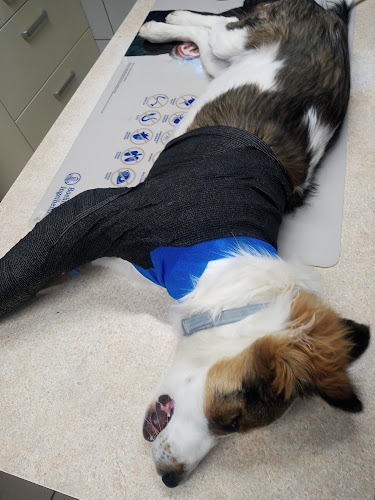 Andrzeja Nideckiego 26, 32-600 Oświęcim